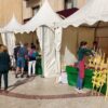 En las procesiones de Semana Santa de Elche también habrá tramos azules sin música