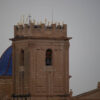 La torre-campanario de la basílica de Santa María ya luce su palma blanca