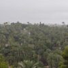 Y cayó la lluvia sobre Elche