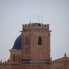 Comienzan los preparativos para la instalación de la Palmera de la Virgen