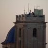 Preparativos para la Palmera de la Virgen de la Nit de l’Albà