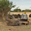 Limpieza de barrancos en Elche: quién lo hace, cuándo, por qué…